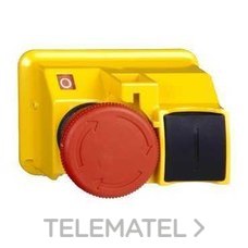 BOTON PDA.SETA d.40mm RJ GIRAR