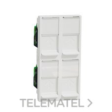 Toma Cuádruple RJ45 UTP categoría 6 polar