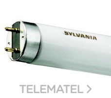 LAMP.LUXLINE-PLUS F15W/840 T-8 G13