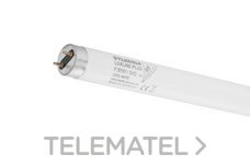 LAMP.LUXLINE-PLUS F25W/30"/840 T-8 G13