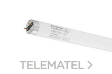 LAMP.LUXLINE-PLUS F30W/865 T-8 G13