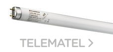 LAMP.LUXLINE-PLUS F36W/830 BULBO T-8